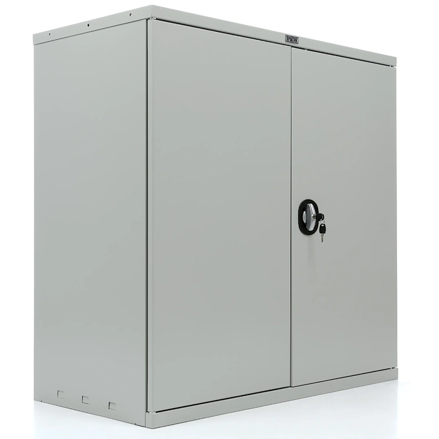 Шкаф ПРАКТИК СВ-21